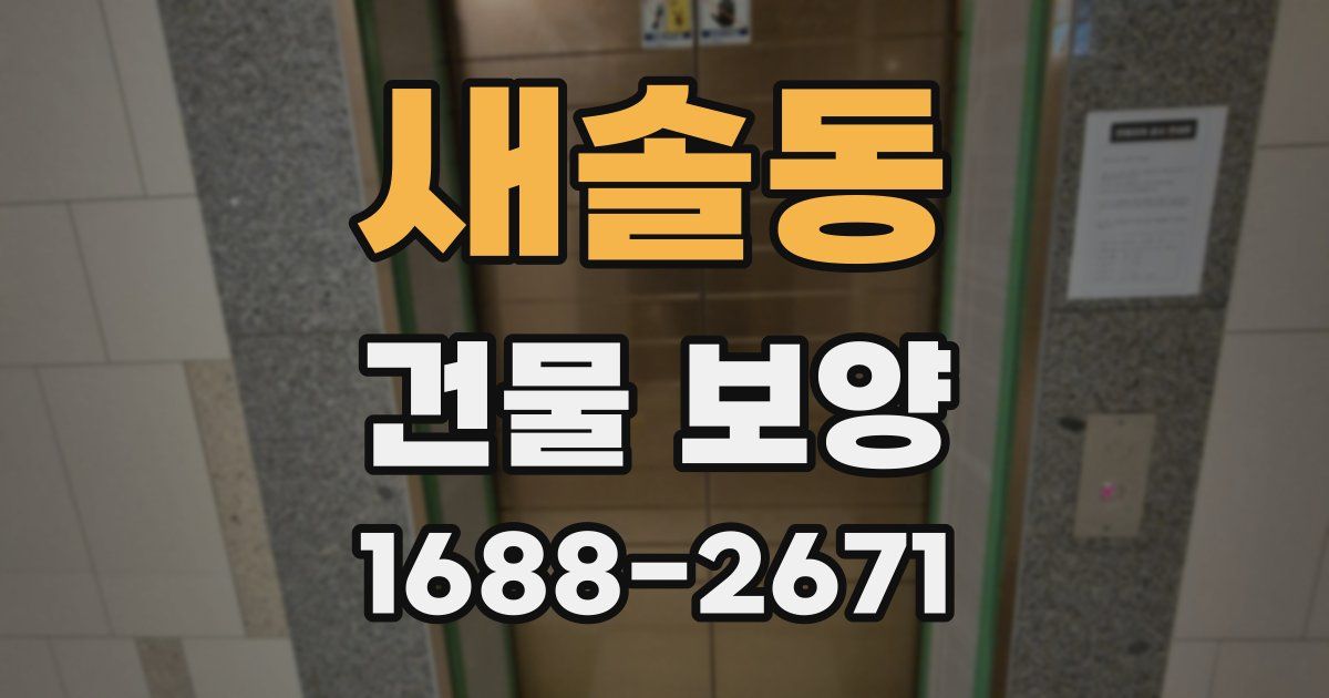 새솔동 건물 보양