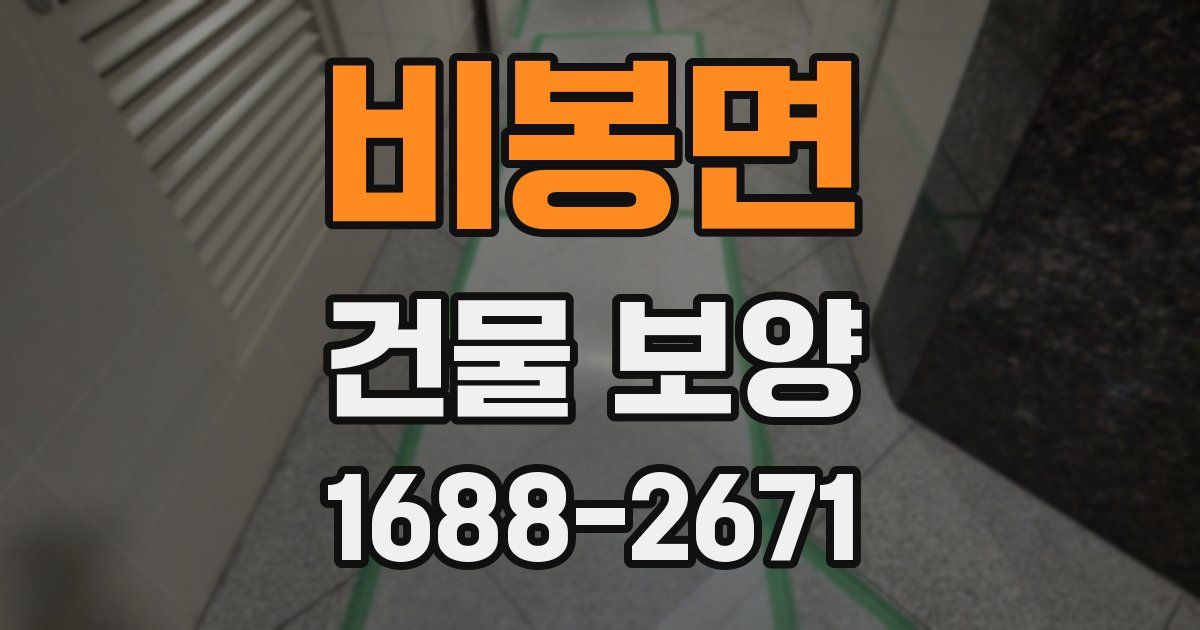 비봉면 건물 보양