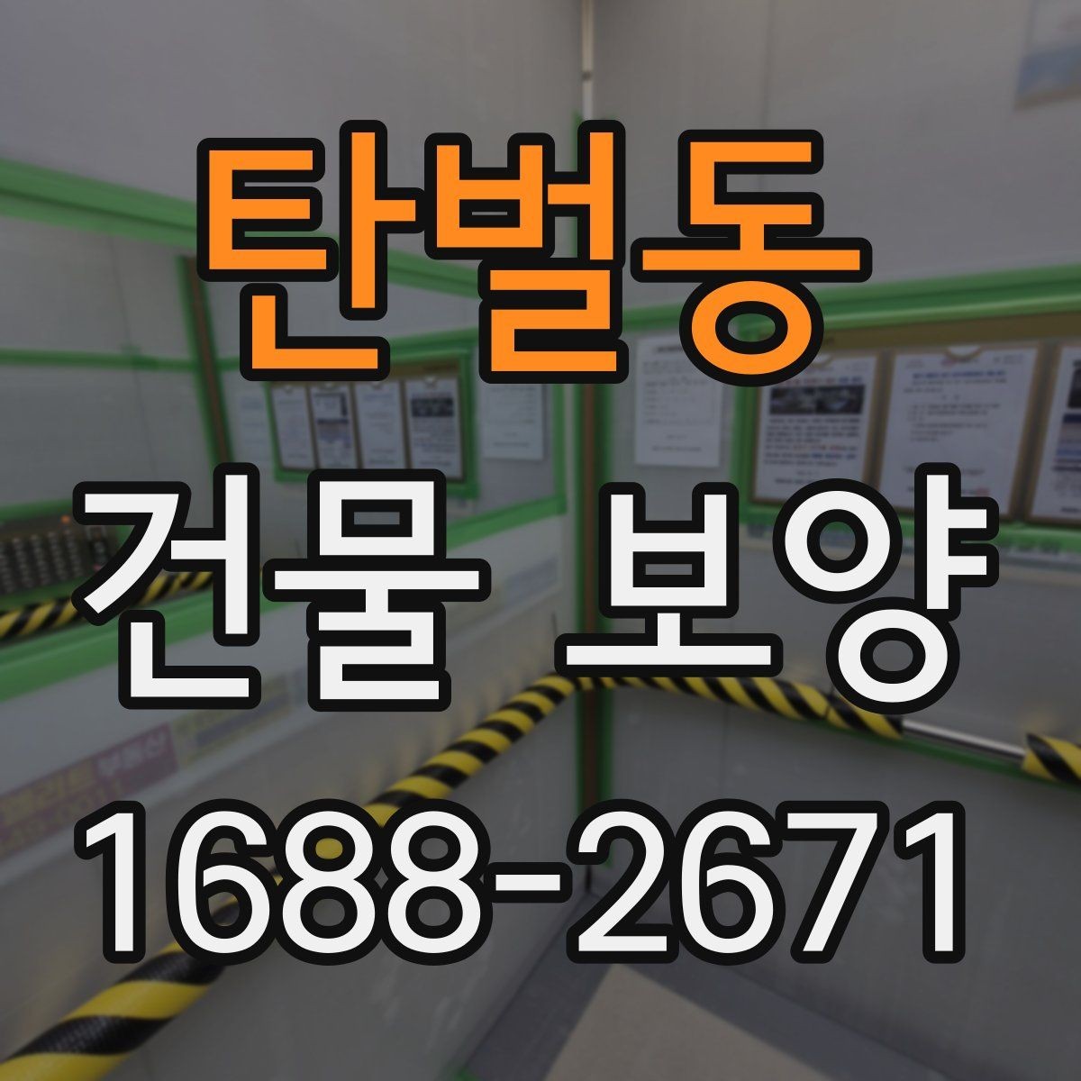 탄벌동 건물 보양 과정에서 놓치기 쉬운 부분