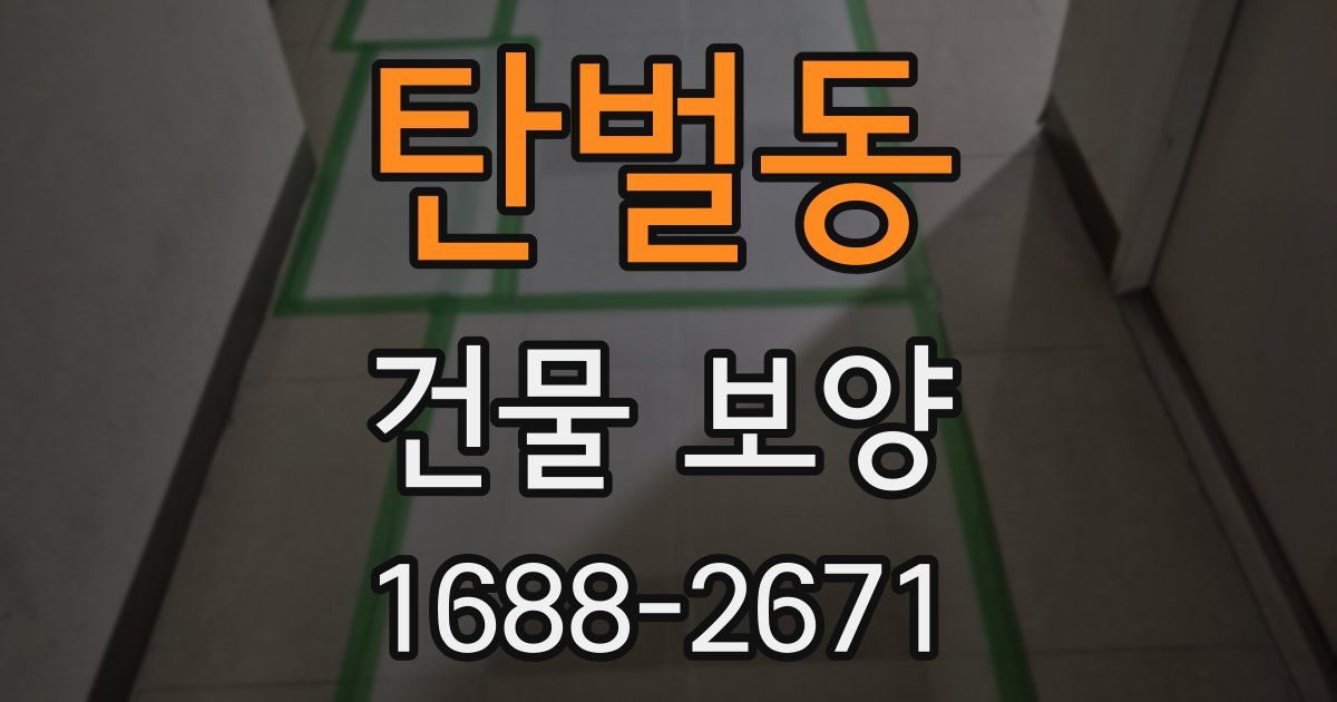 탄벌동 건물 보양