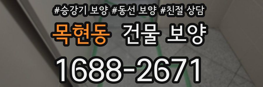 목현동 건물 보양