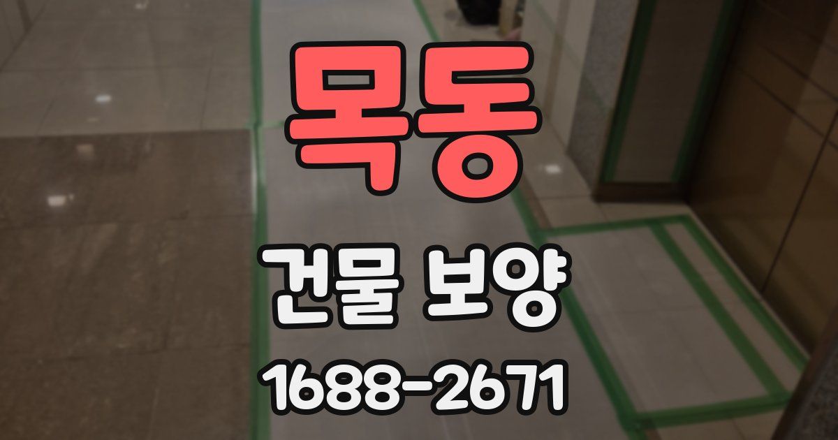 목동 건물 보양