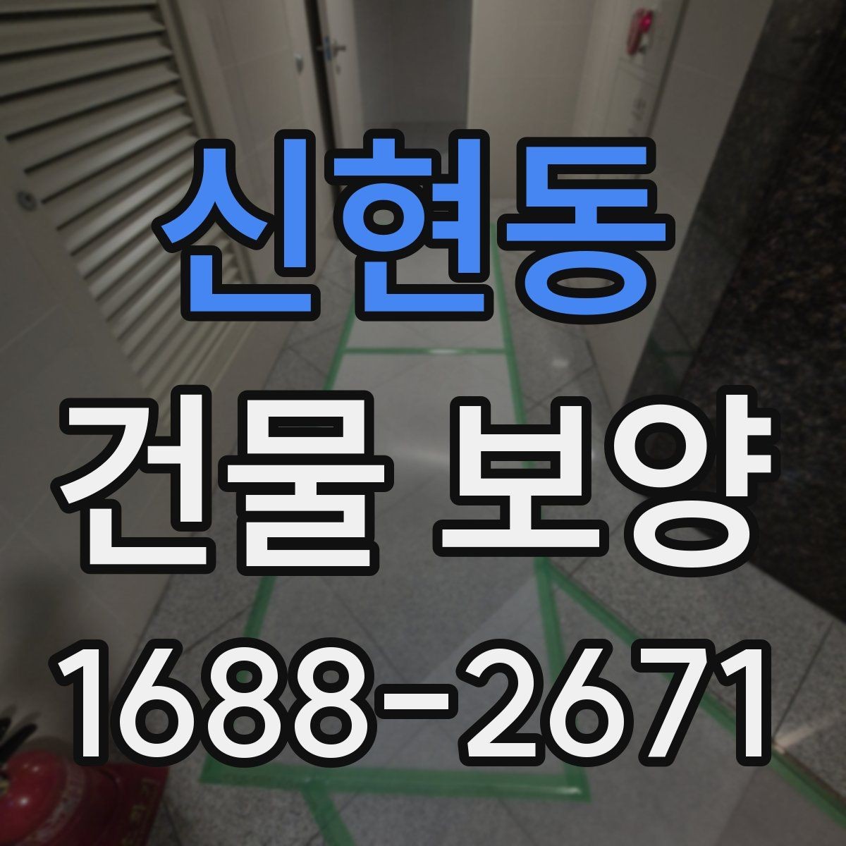 신현동 건물 보양 관련 문의가 많은 이유 정리