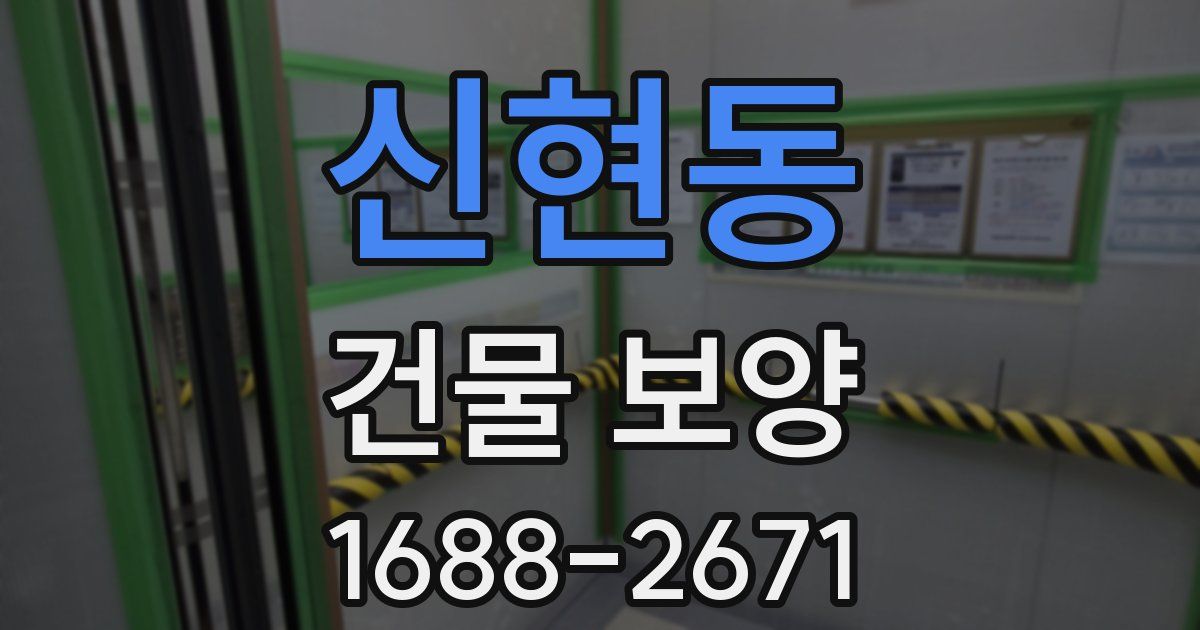 신현동 건물 보양