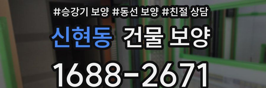 신현동 건물 보양