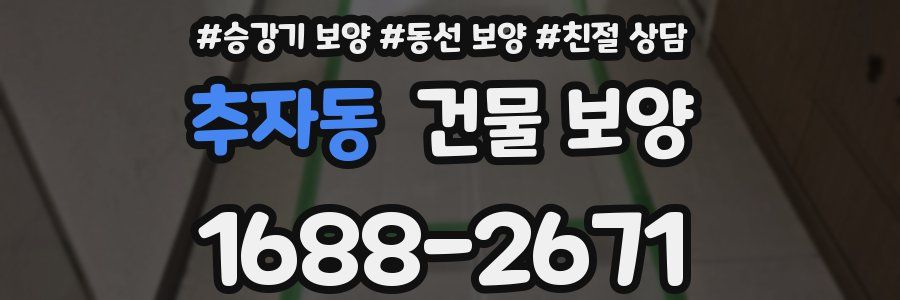 추자동 건물 보양