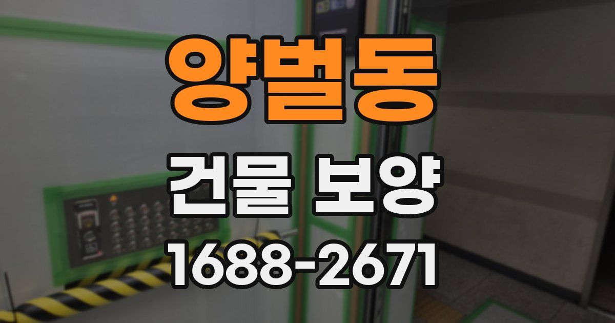 양벌동 건물 보양