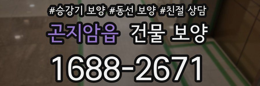 곤지암읍 건물 보양