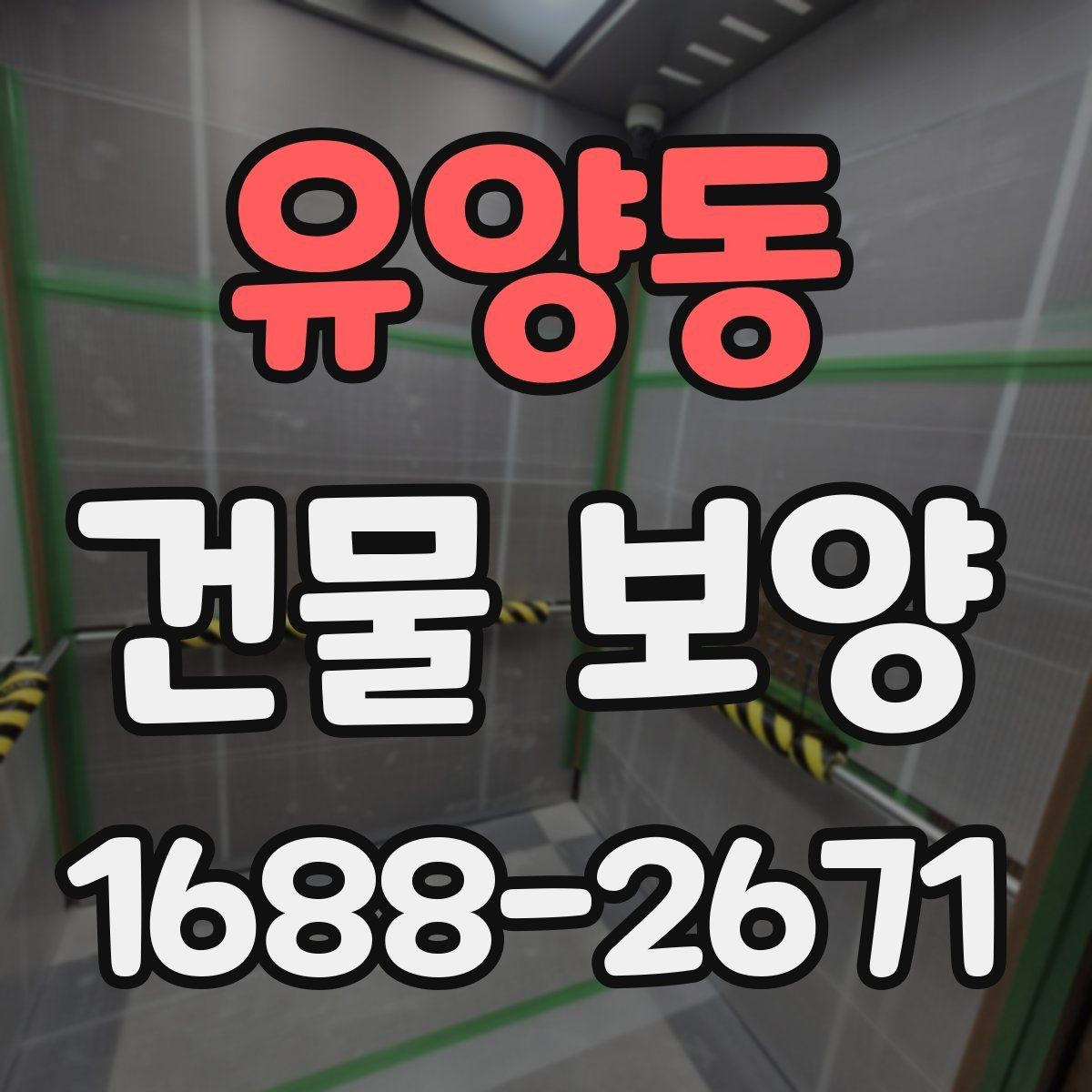 유양동 건물 보양 작업 품질을 점검하는 실용 기준