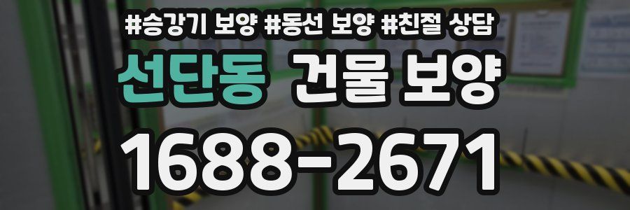 선단동 건물 보양
