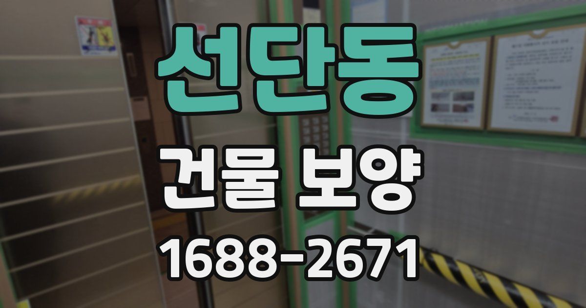 선단동 건물 보양