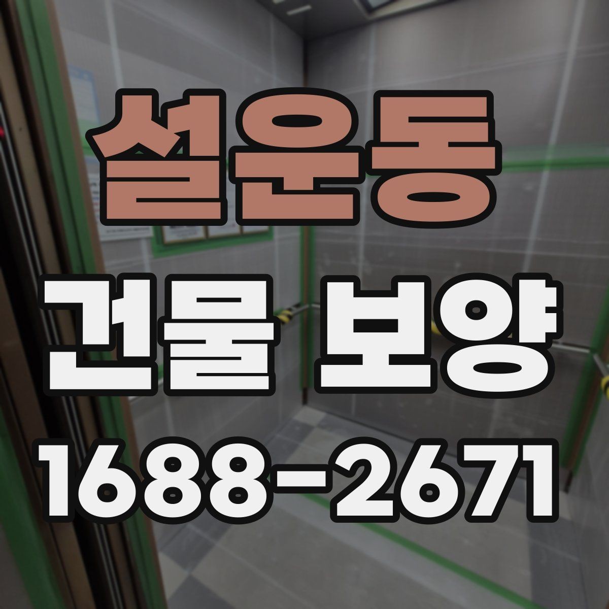 설운동 건물 보양 범위 설정 시 실무에서 보는 점
