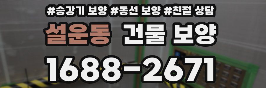 설운동 건물 보양