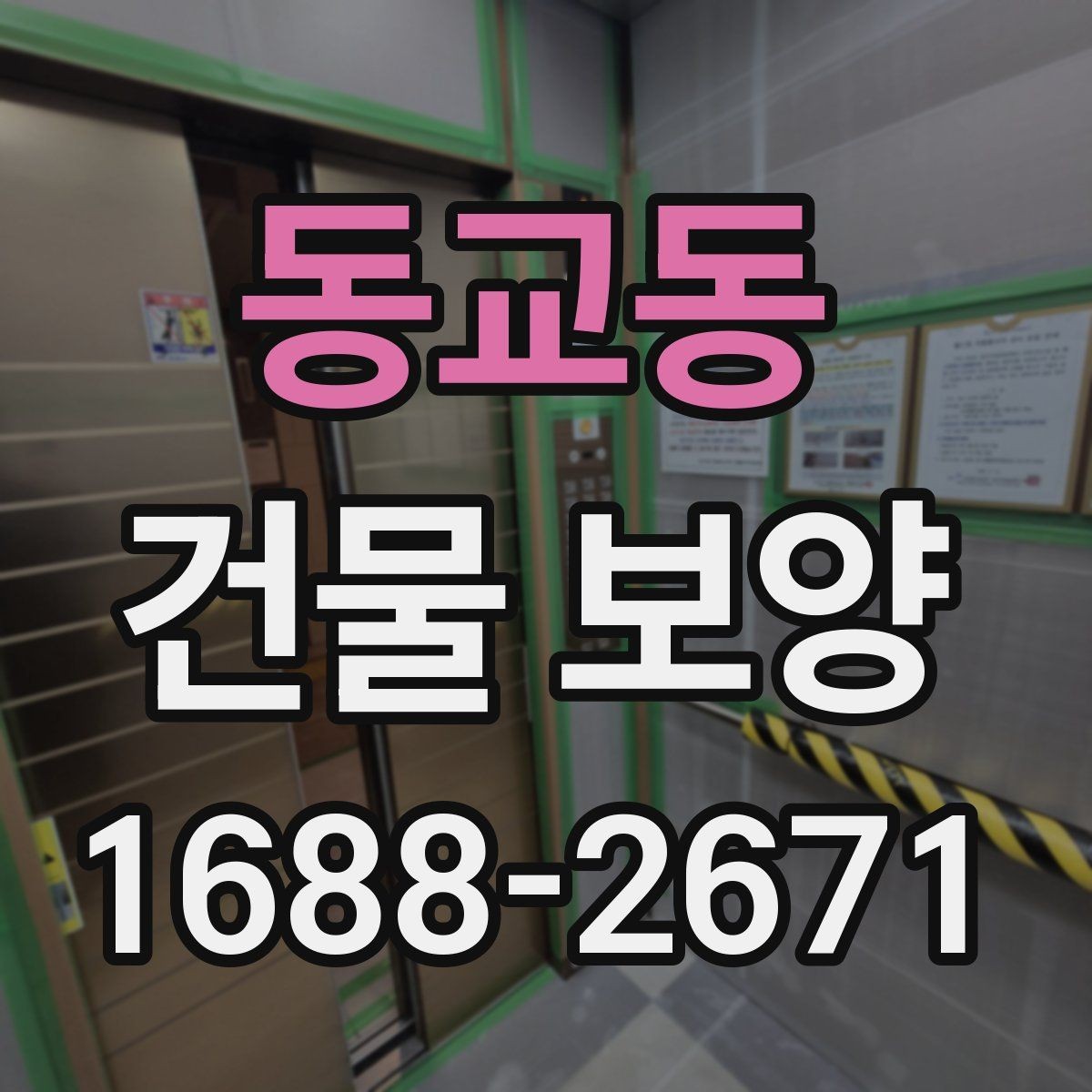 동교동 건물 보양 시 보호가 필요한 구역 구분법