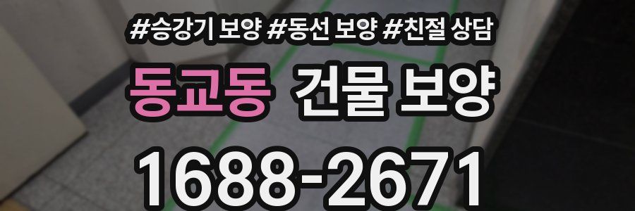 동교동 건물 보양