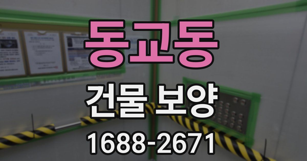동교동 건물 보양