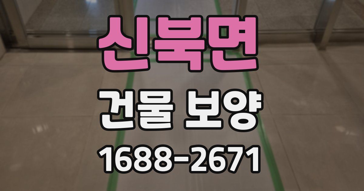 신북면 건물 보양