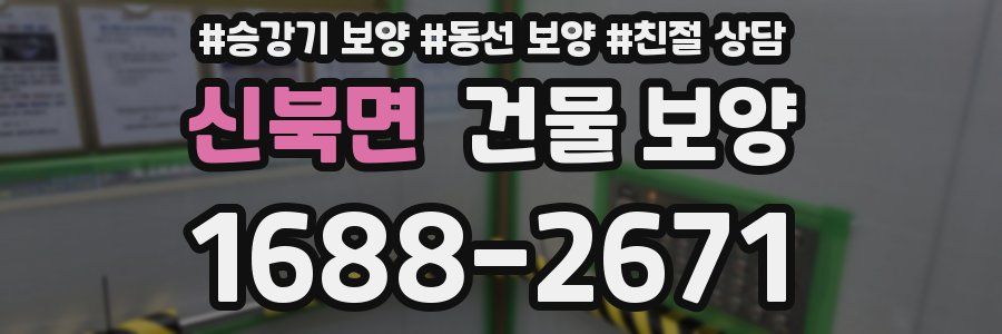 신북면 건물 보양