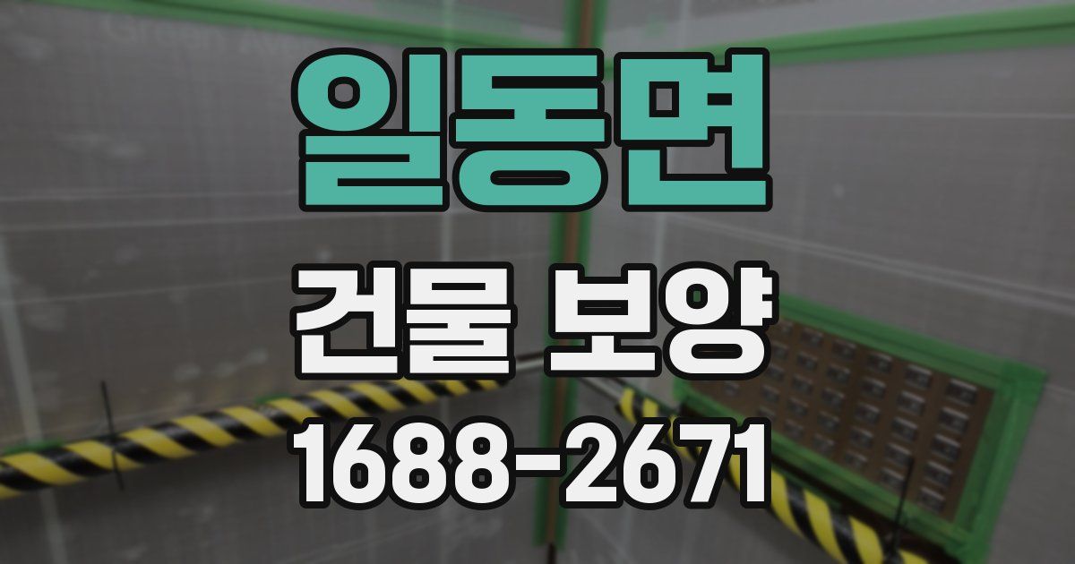 일동면 건물 보양