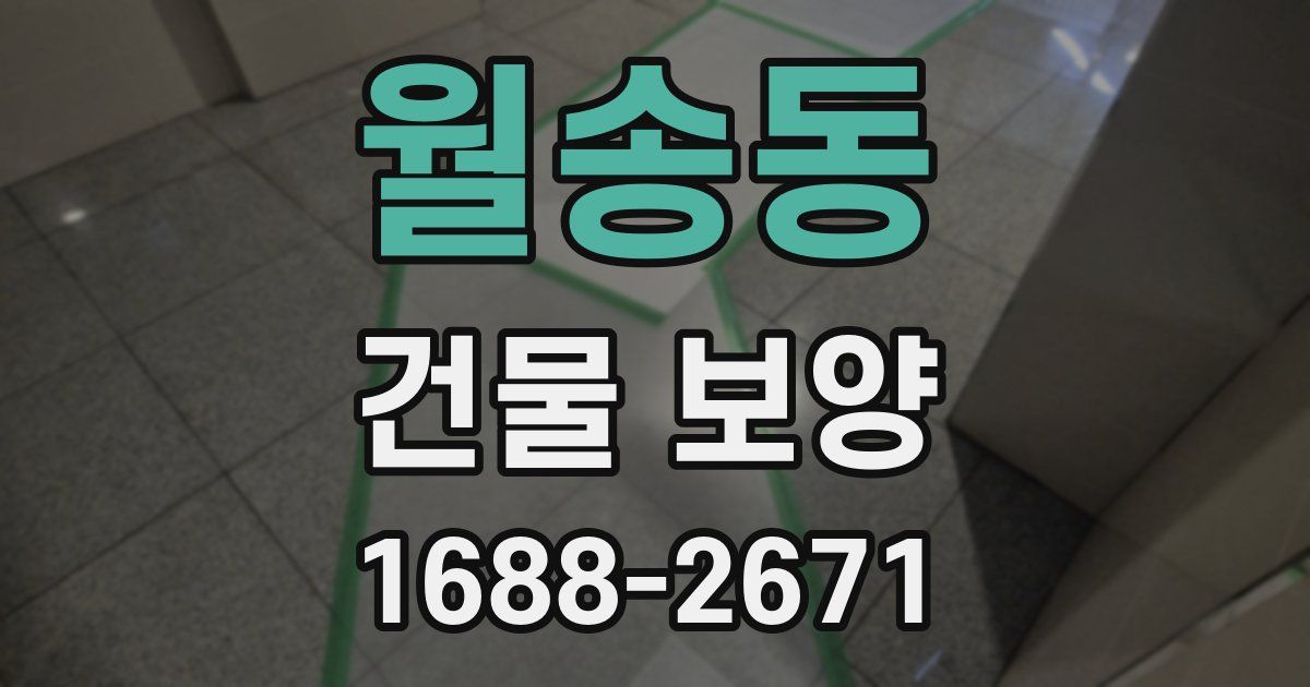 월송동 건물 보양