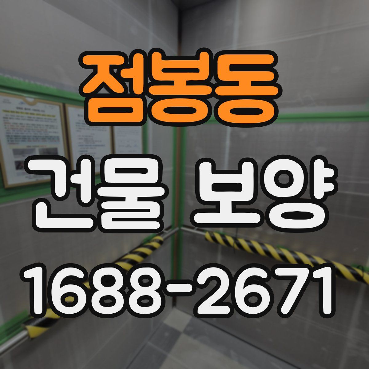 점봉동 건물 보양