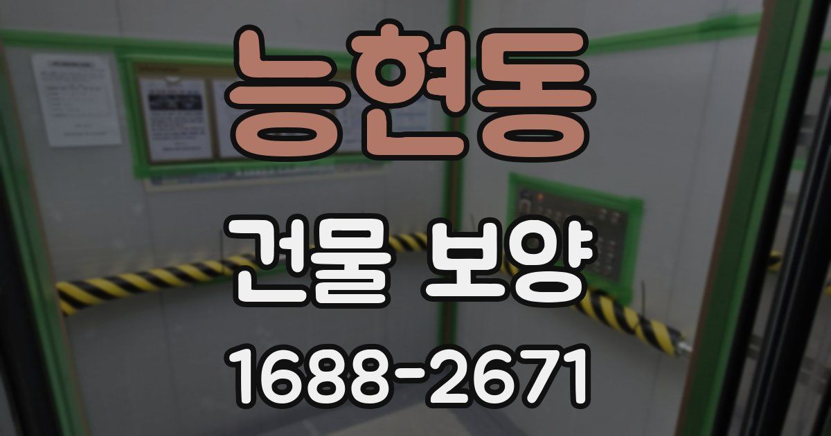능현동 건물 보양