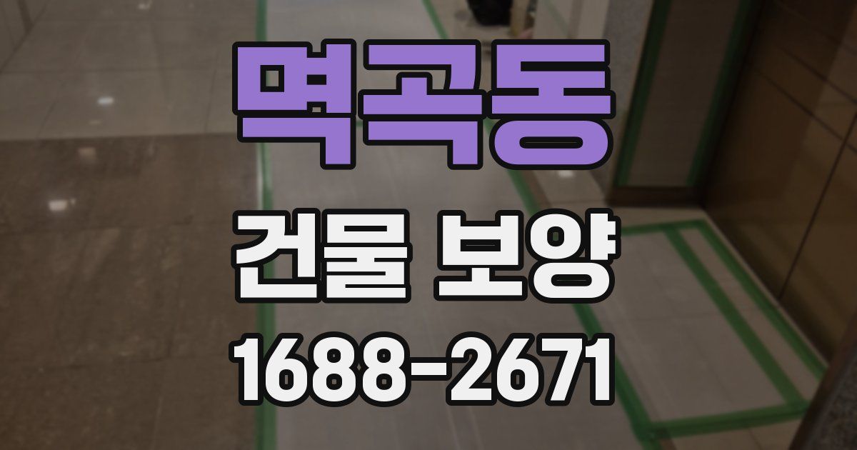 멱곡동 건물 보양
