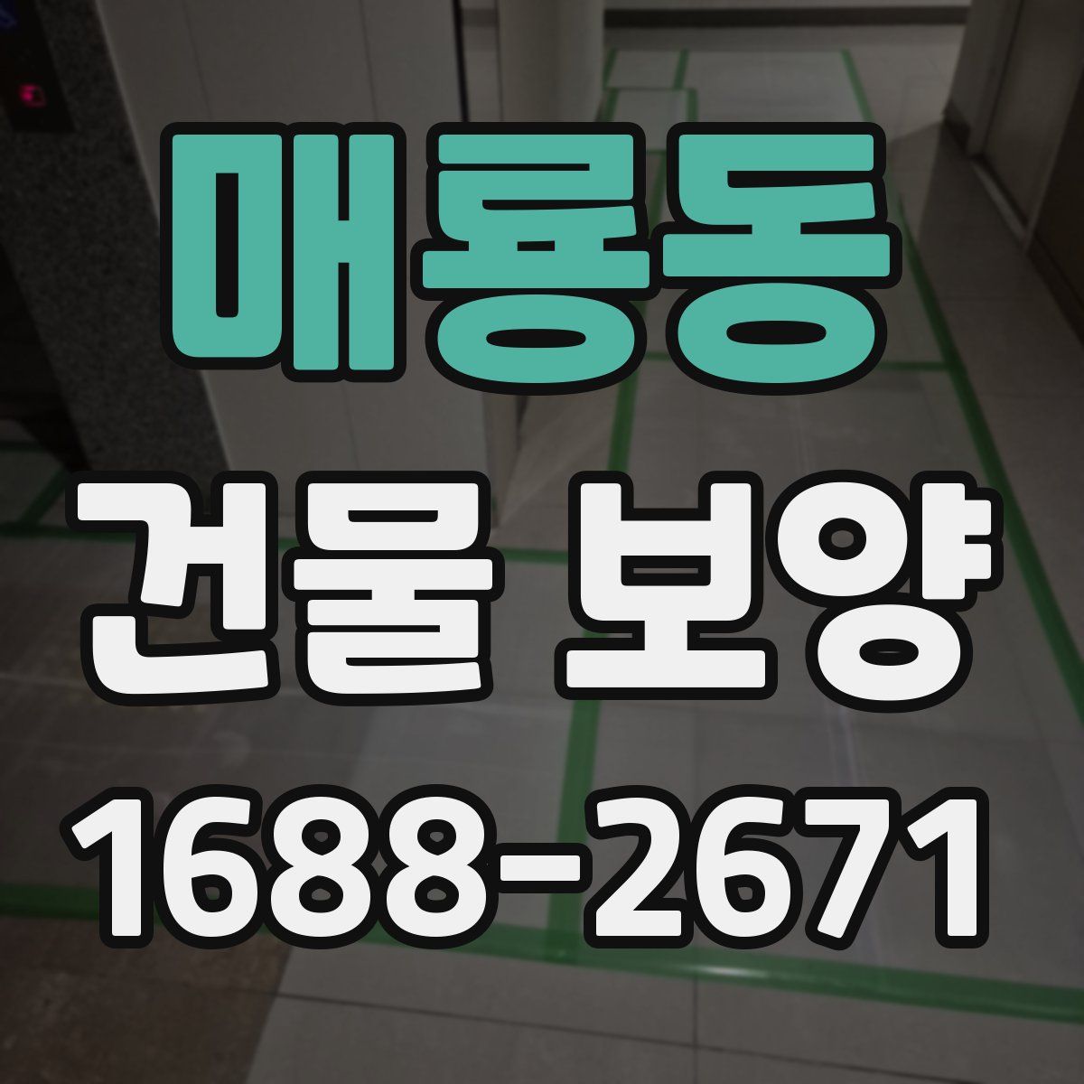 매룡동 건물 보양