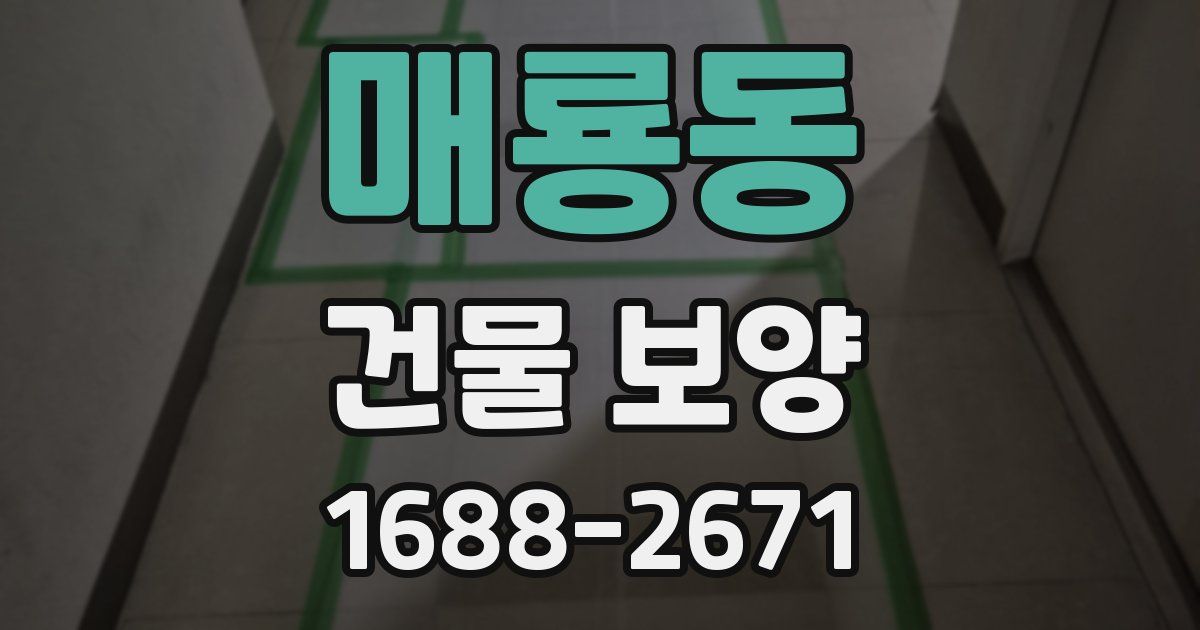 매룡동 건물 보양