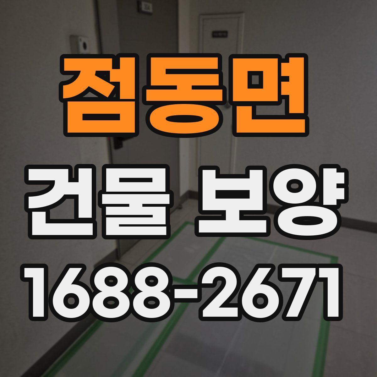 점동면 건물 보양