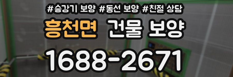 흥천면 건물 보양
