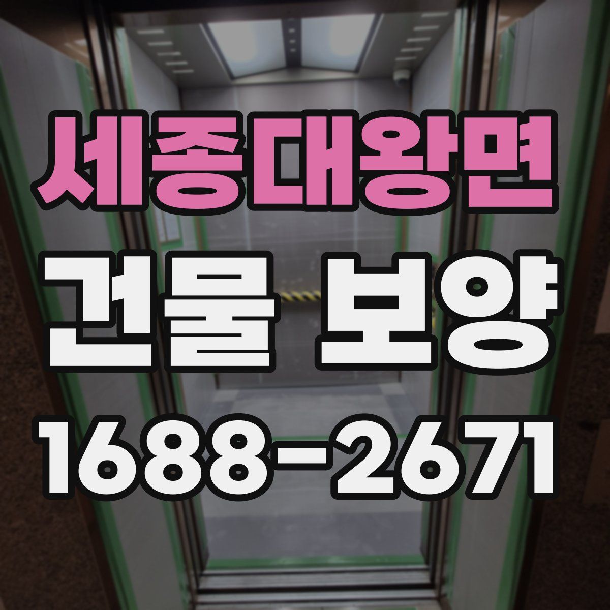 세종대왕면 건물 보양