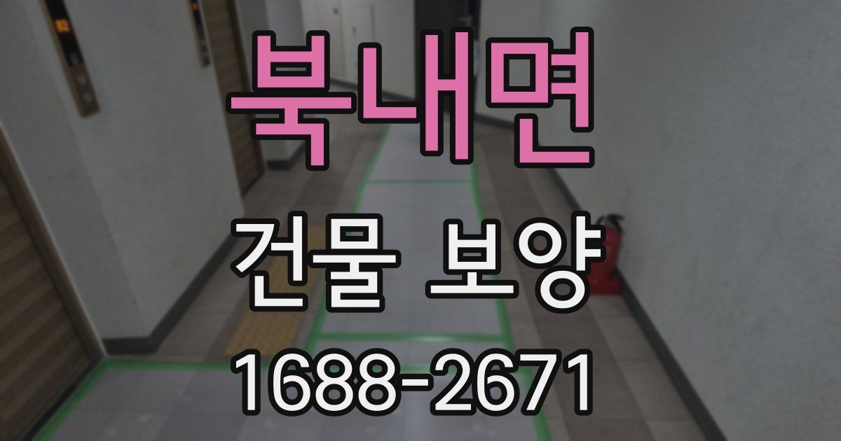 북내면 건물 보양