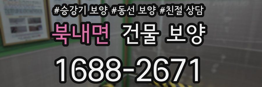 북내면 건물 보양