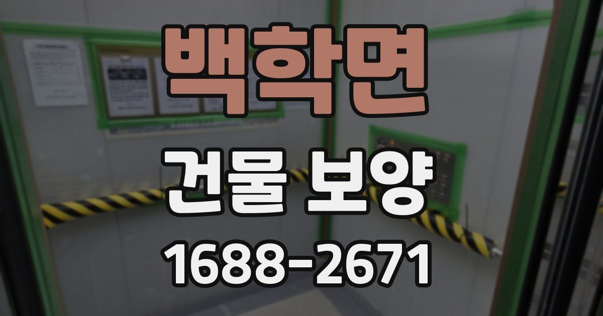 백학면 건물 보양