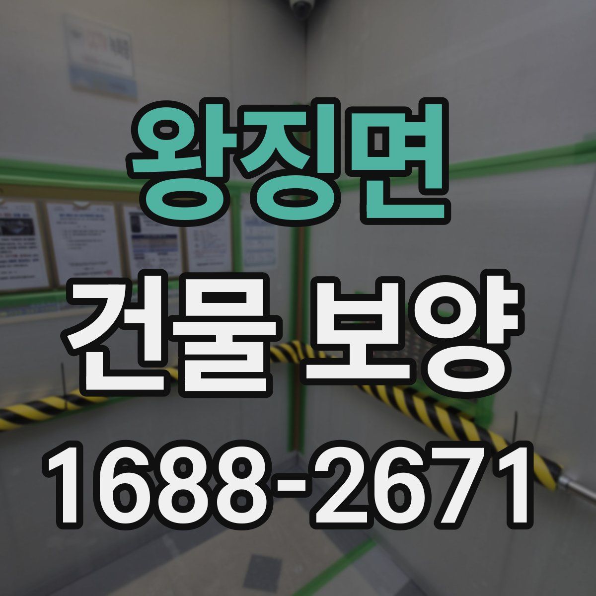 왕징면 건물 보양