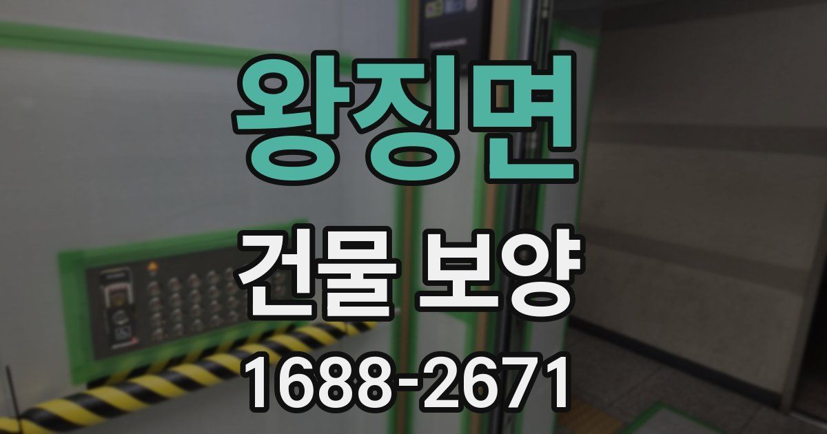 왕징면 건물 보양