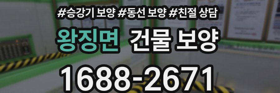 왕징면 건물 보양