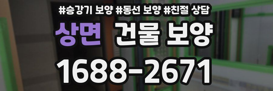 상면 건물 보양