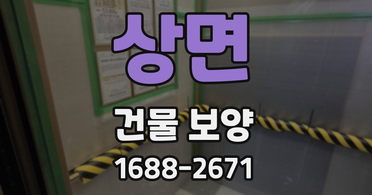 상면 건물 보양