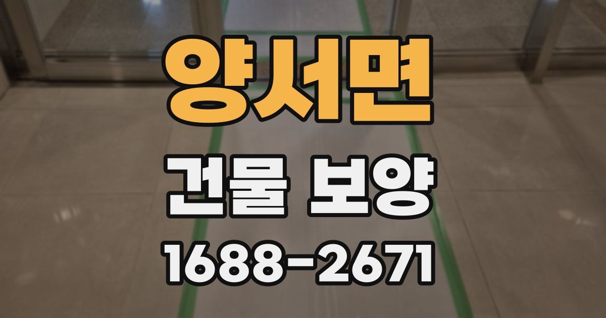 양서면 건물 보양