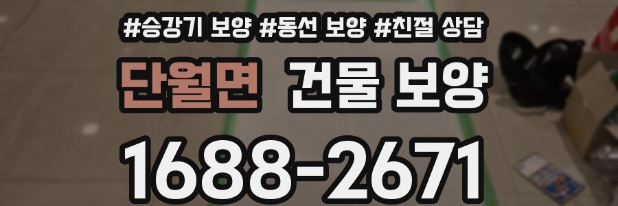 단월면 건물 보양