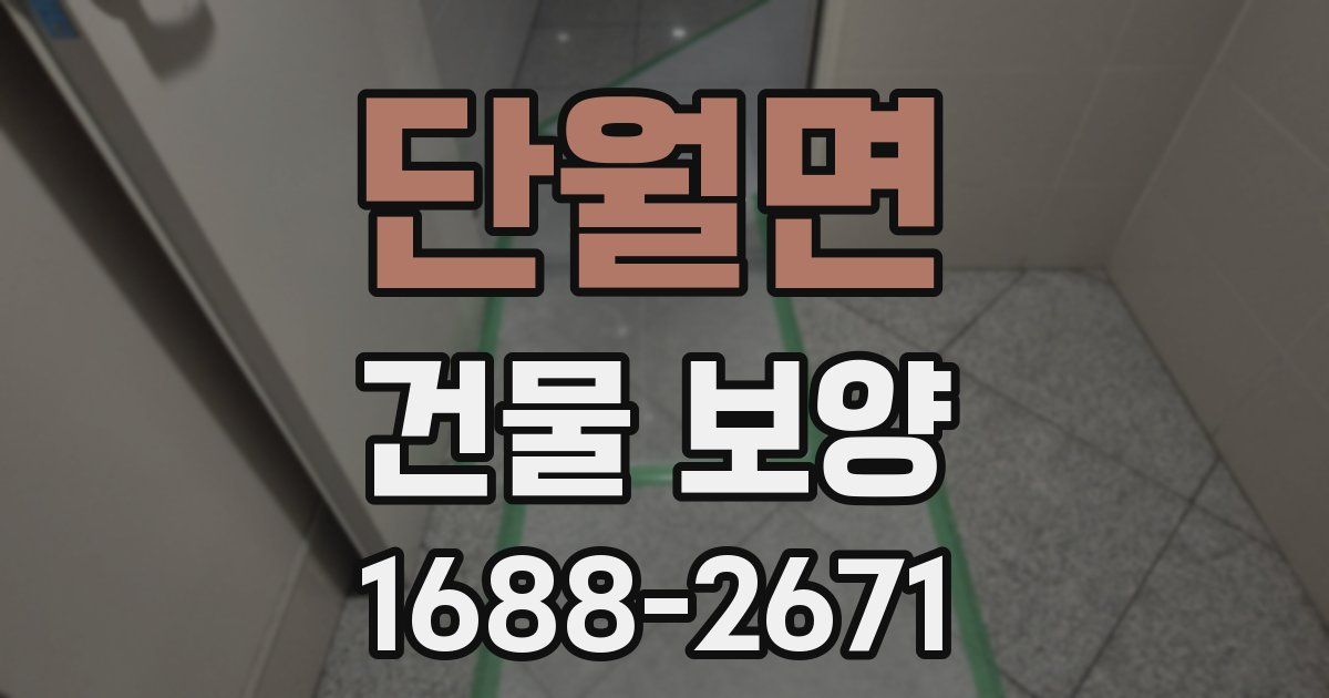 단월면 건물 보양