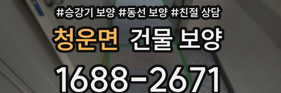 청운면 건물 보양