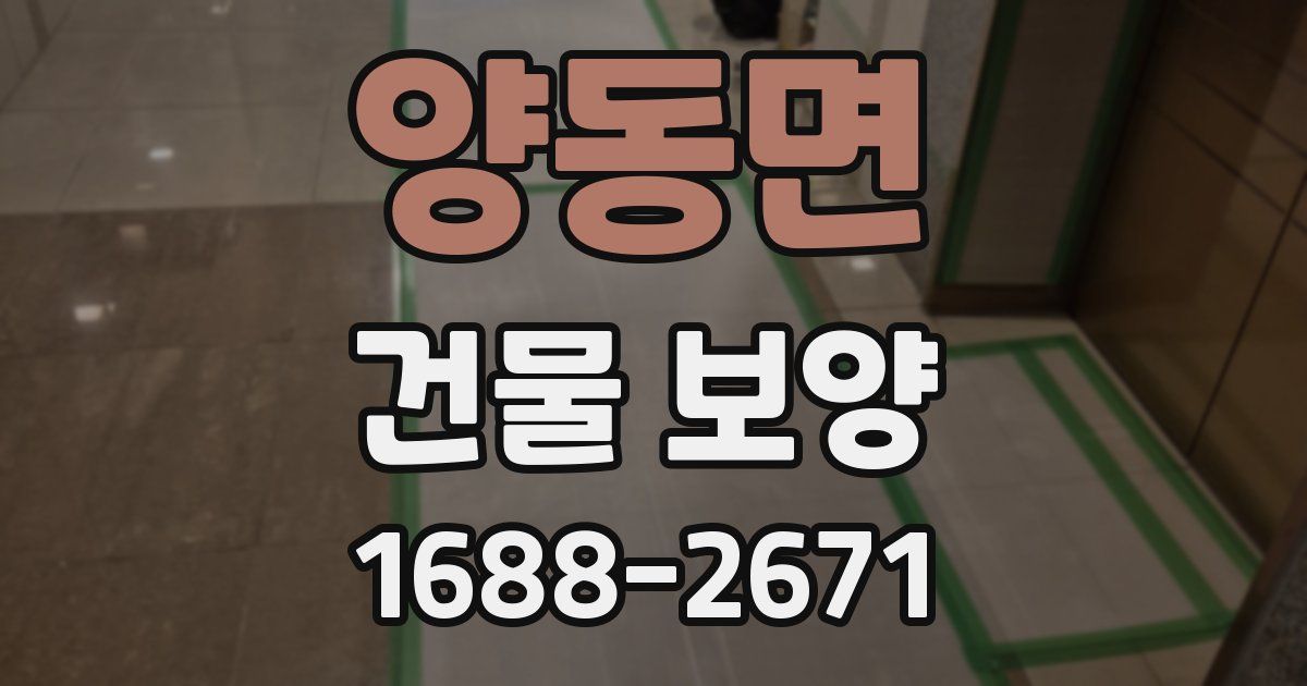 양동면 건물 보양