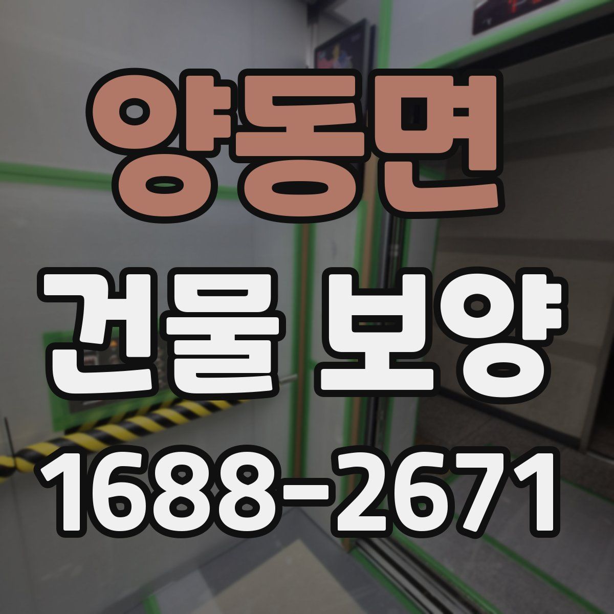 양동면 건물 보양