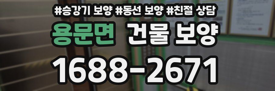 용문면 건물 보양