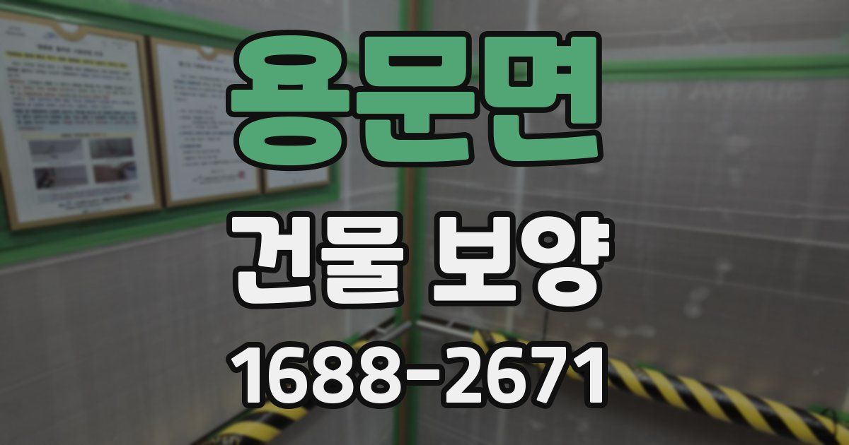 용문면 건물 보양