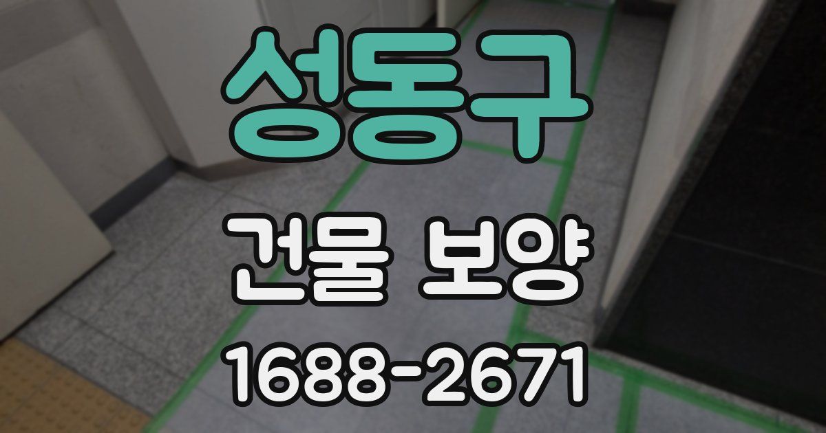 성동구 건물 보양