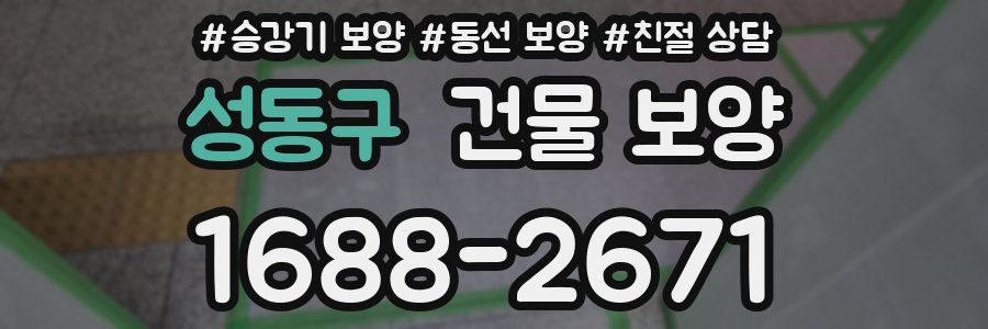 성동구 건물 보양